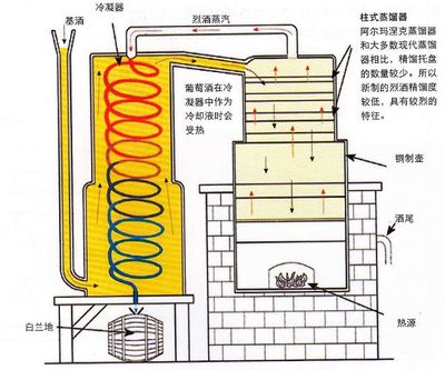 走进白兰地世界(上)